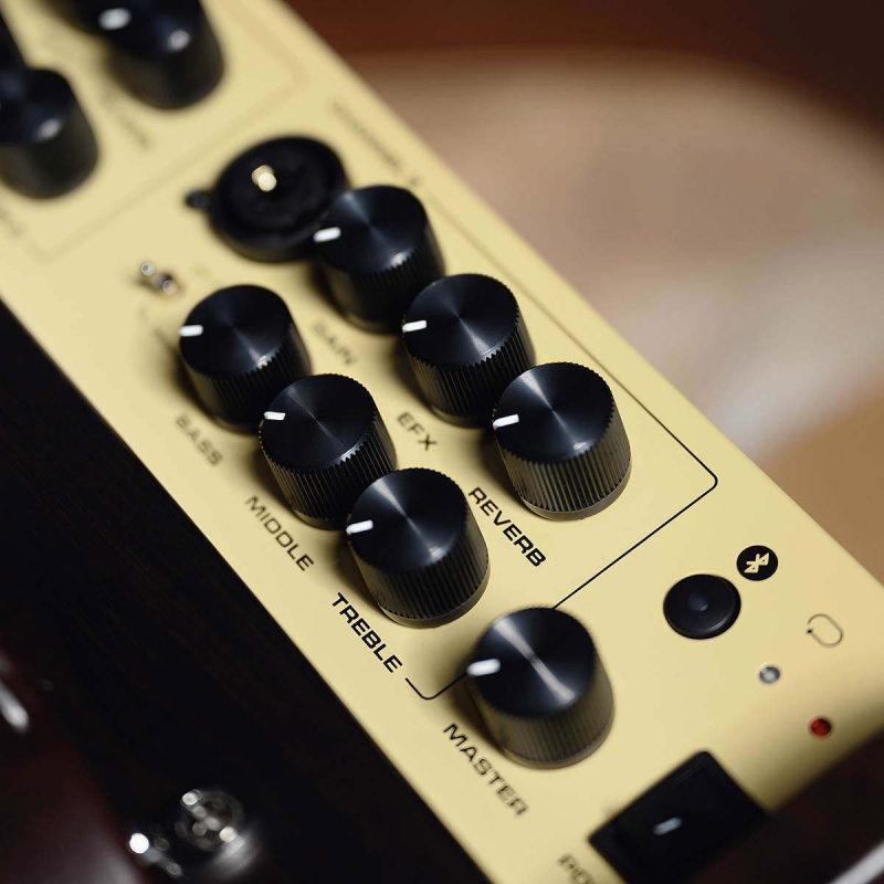 AC80 Nux Amplifier IR