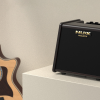 Nux AC25 Amplifier