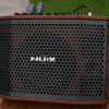 SA100-Nux-Amplifier