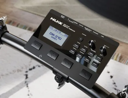 Module DM310 Nux